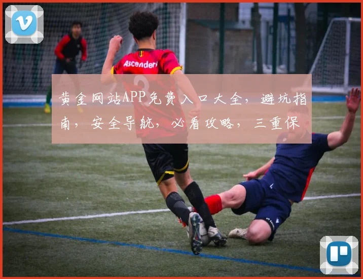 黄金网站APP免费入口大全，避坑指南，安全导航，必看攻略，三重保障，一网打尽